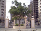 The eight tower blocks which now utilise Fike detection equipment
